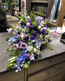 paars rozen wild blauw lila violet hoogvliet Spijkenisse zalmplaat Rotterdam Schiedam Rhoon